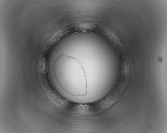 X0000089390328200706221323