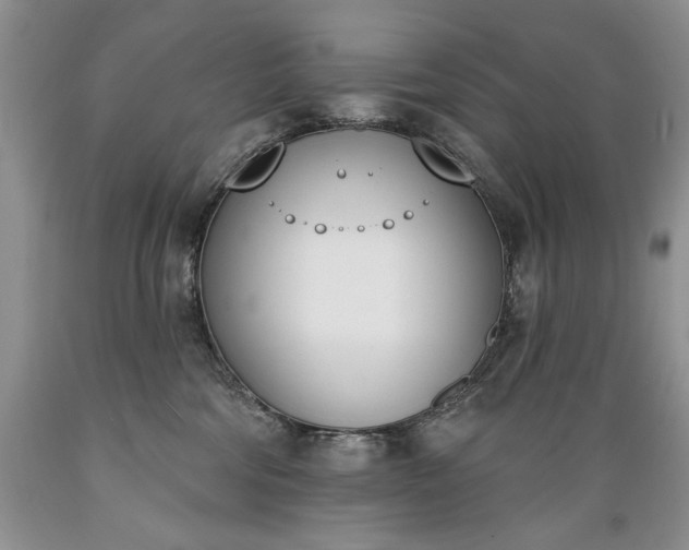 X0000089390330200706221323