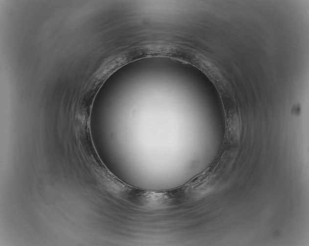 X0000089390333200706221323