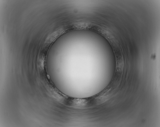X0000089390334200706221323