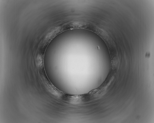X0000089390335200706221323