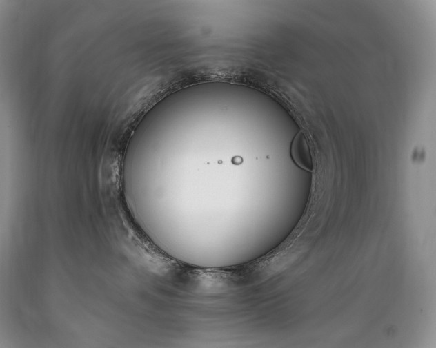 X0000089390336200706221323