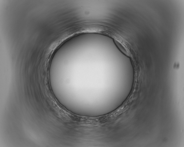 X0000089390337200706221322