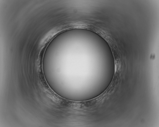 X0000089390339200706221323