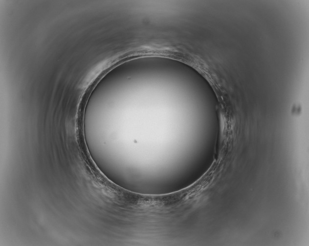 X0000089390340200706221323