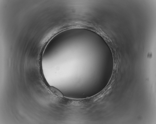 X0000089390341200706221323