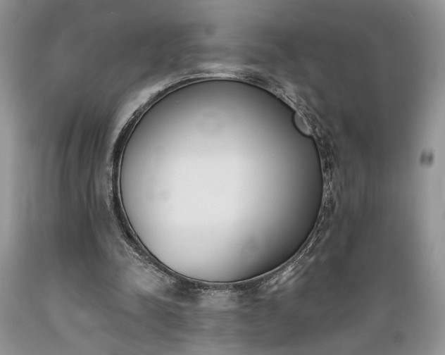 X0000089390342200706221323