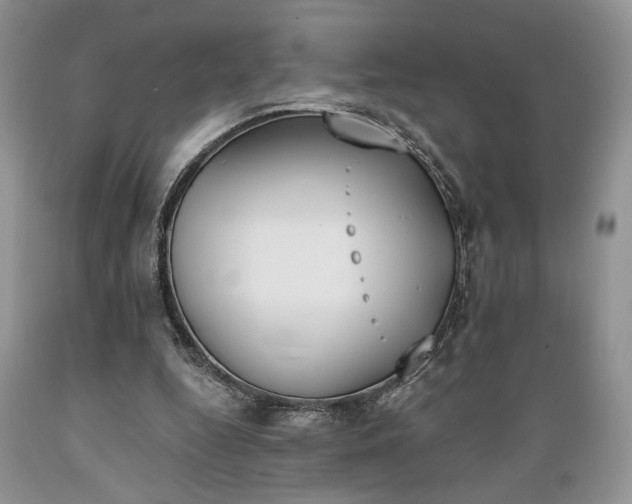 X0000089390344200706221323