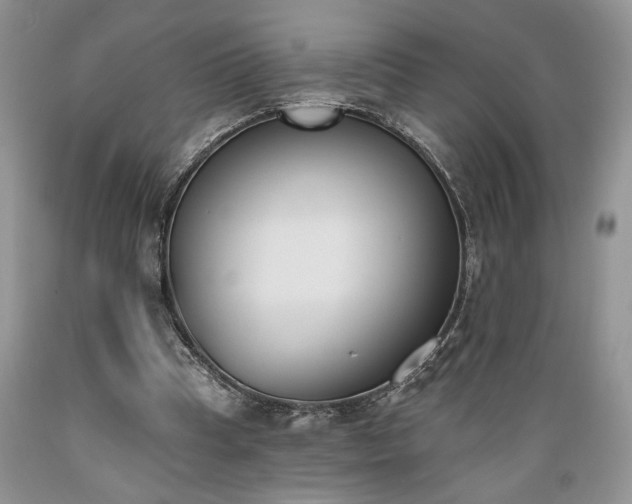 X0000089390345200706221323