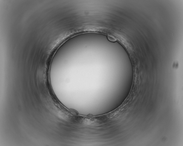 X0000089390346200706221323