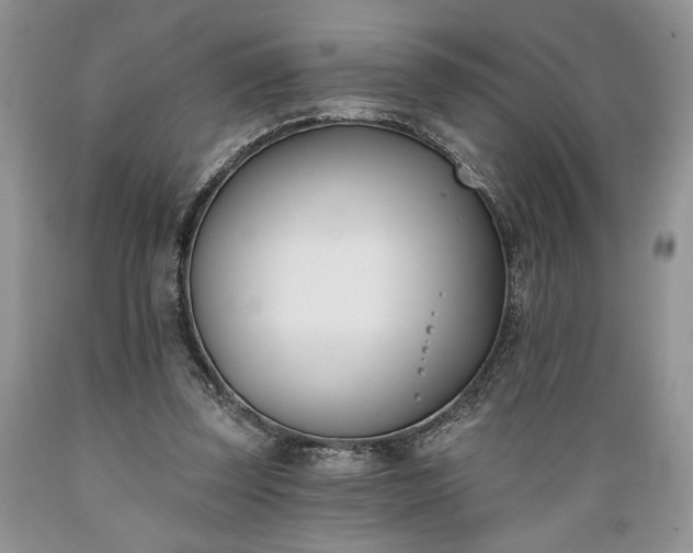 X0000089390347200706221323