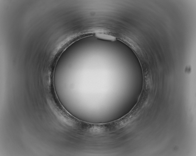 X0000089390350200706221323
