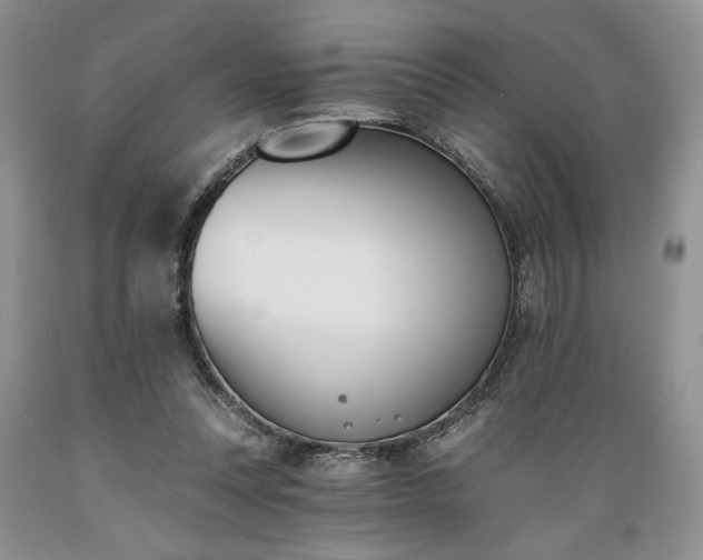 X0000089390351200706221323