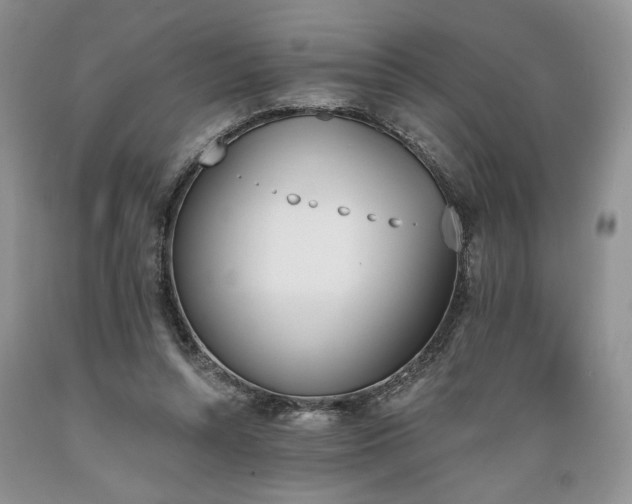 X0000089390352200706221323