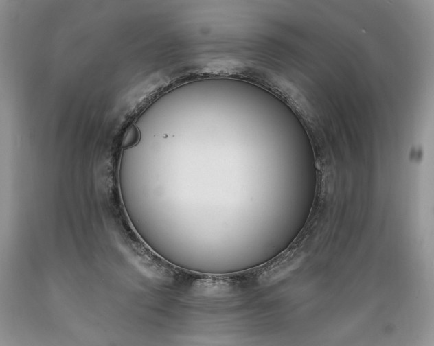 X0000089390354200706221323