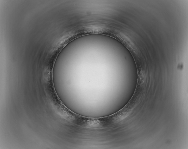 X0000089390355200706221323