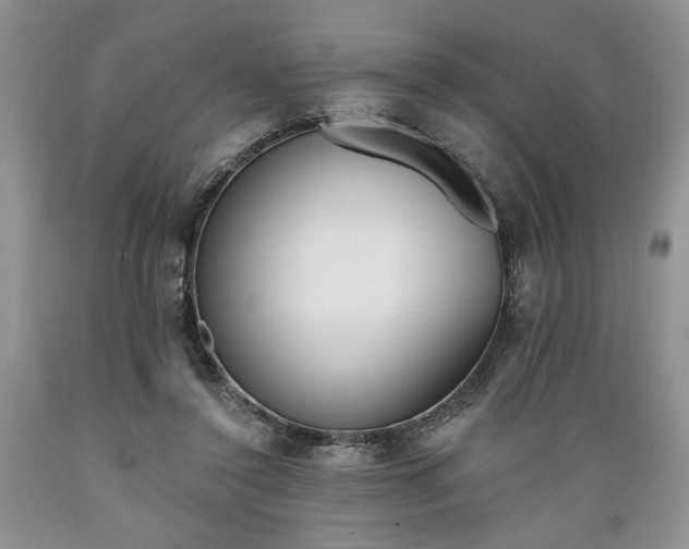 X0000089390356200706221323