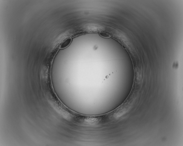 X0000089390357200706221323