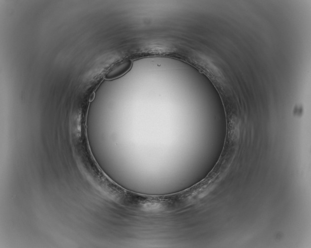 X0000089390358200706221323