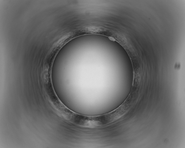 X0000089390360200706221323
