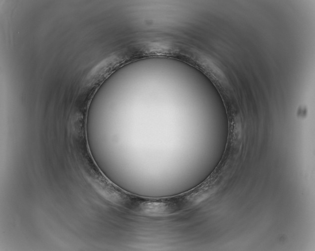 X0000089390361200706221323