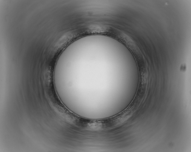 X0000089390362200706221323