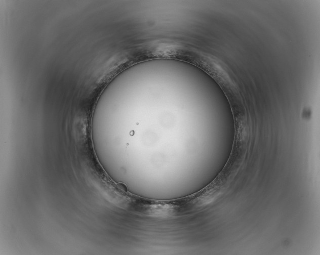 X0000089390363200706221323