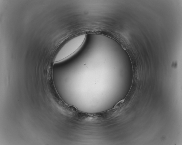 X0000089390364200706221323