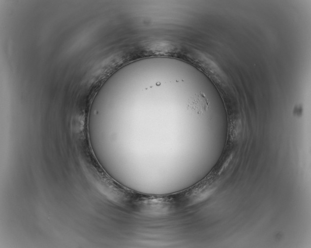 X0000089390365200706221323