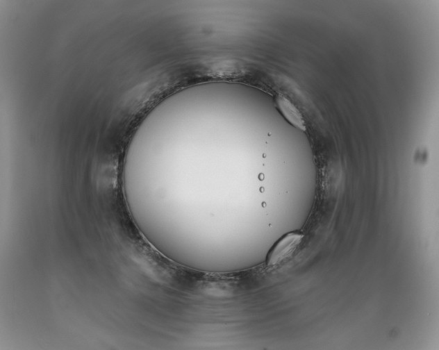X0000089390368200706221323