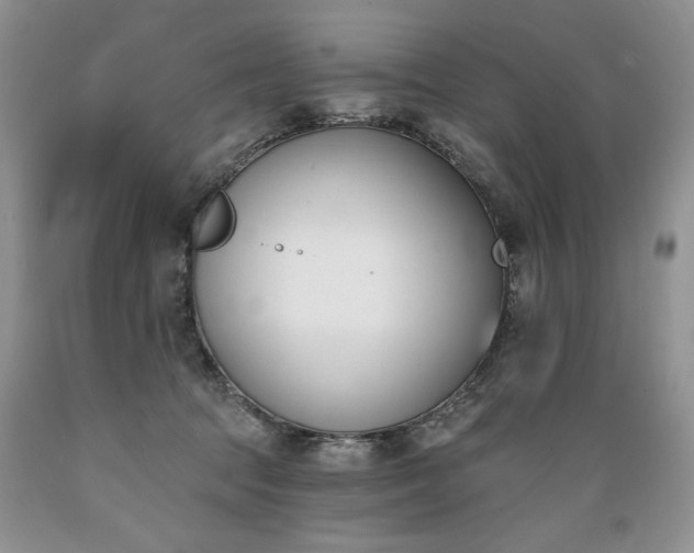 X0000089390369200706221323