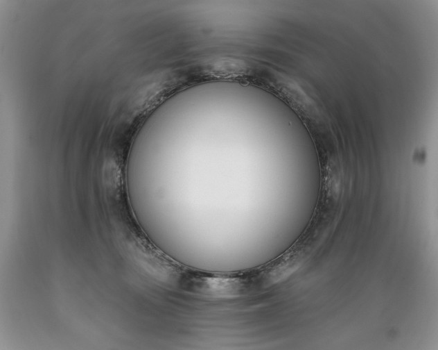 X0000089390371200706221323