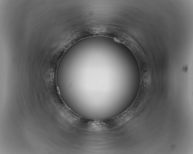 X0000089390372200706221323