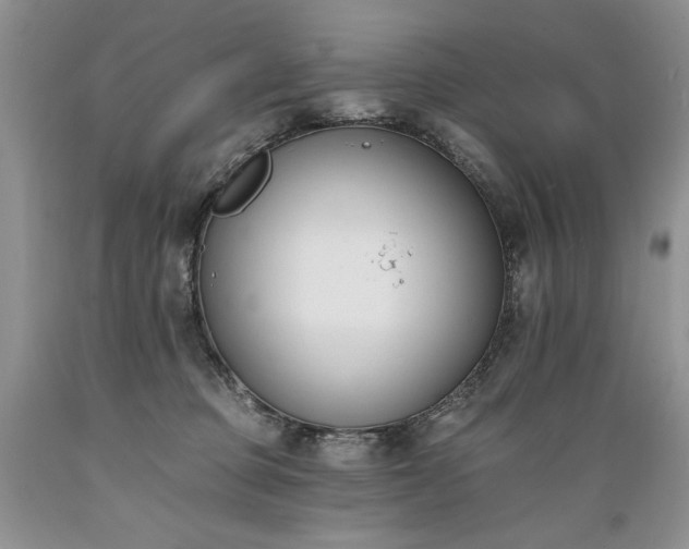 X0000089390373200706221323