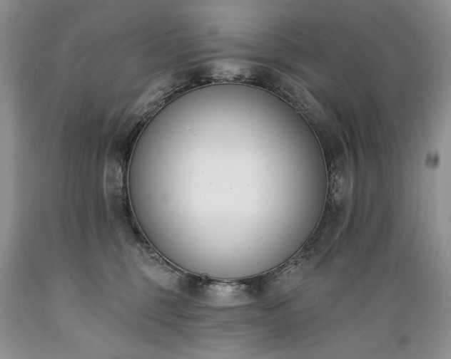 X0000089390375200706221323