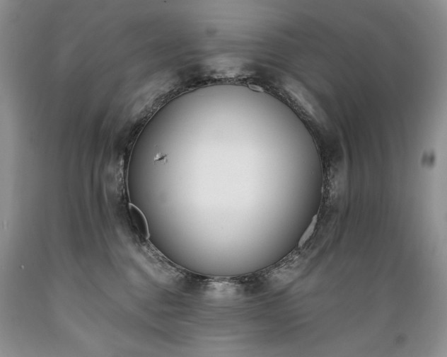 X0000089390376200706221323