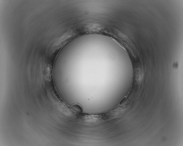 X0000089390378200706221323