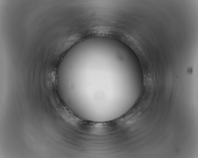 X0000089390382200706221323