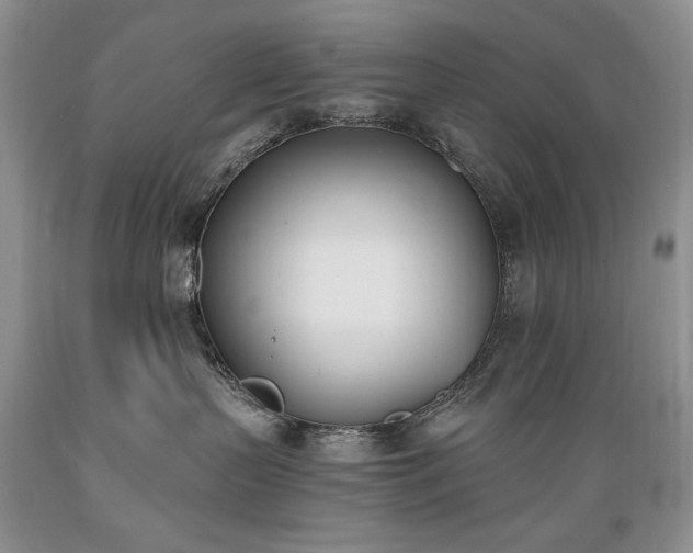 X0000089390383200706221323