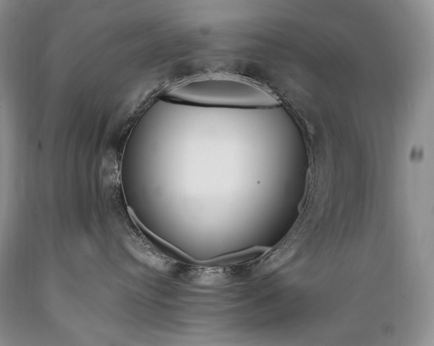X0000089390384200706221323