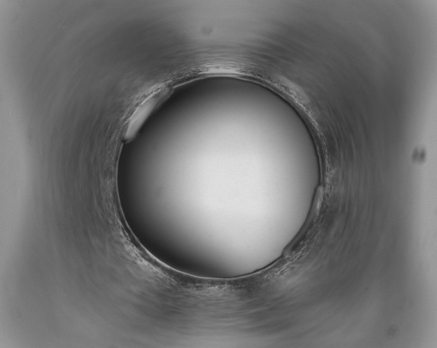 X0000089390385200706221322