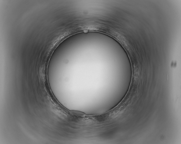 X0000089390386200706221322