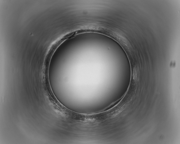 X0000089390388200706221322