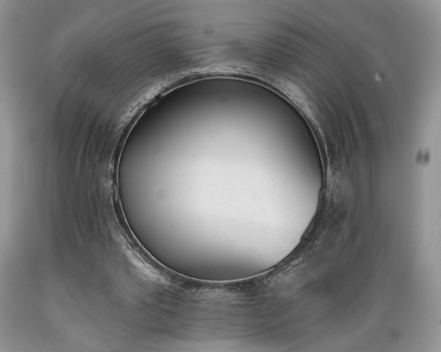 X0000089390389200706221322