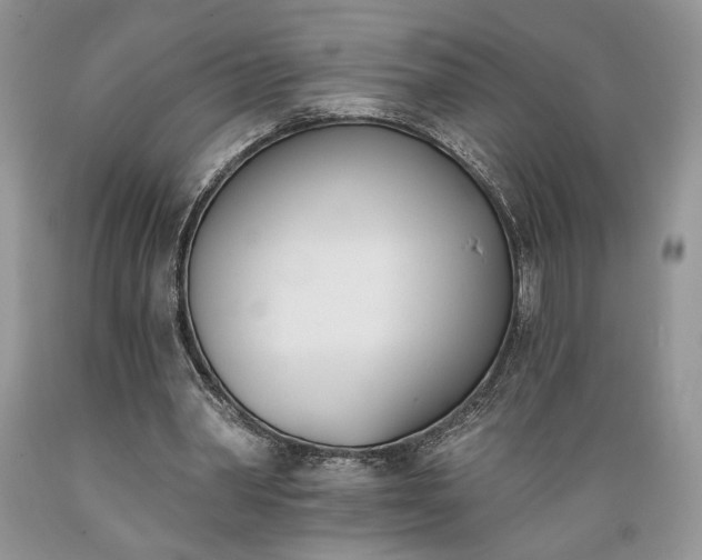 X0000089390390200706221322