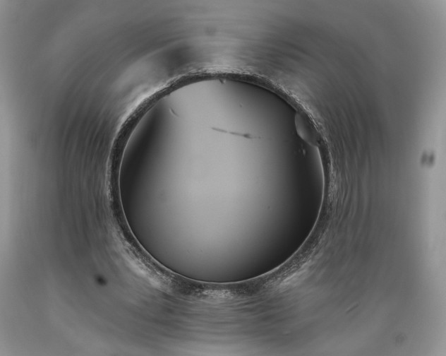 X0000089390391200706221322