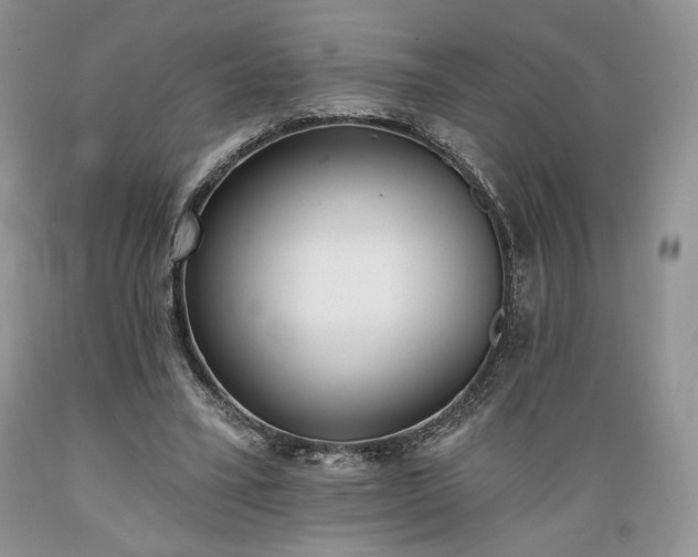 X0000089390395200706221322