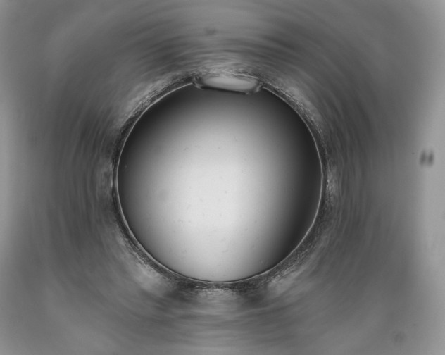 X0000089390397200706221322