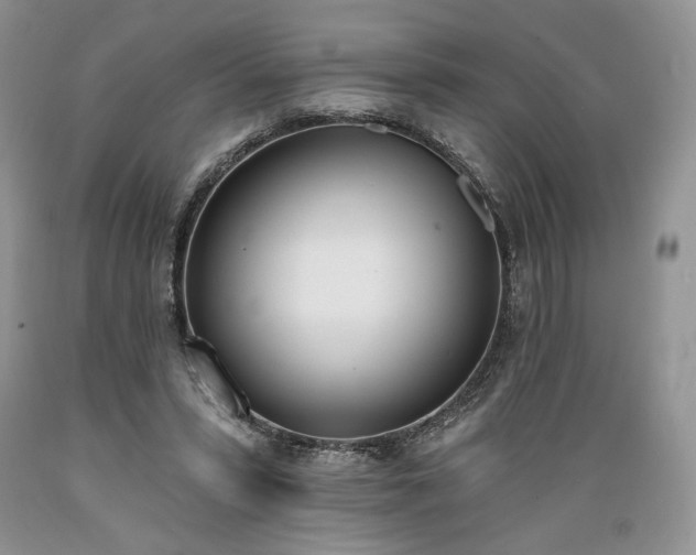 X0000089390399200706221322