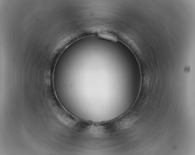 X0000089390403200706221322